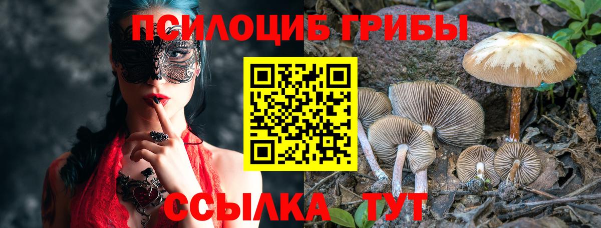продажа наркотиков  Вход с VPN  Лыткарино  Галлюциногенные грибы прущие грибы 